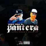 Chino Pacas — Negro Como La Pantera Ft Calle 24