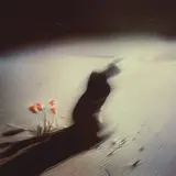 Curv Moon — Silhouette
