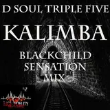 D Soul Triplefive — Kalimba (Blackchild Sensation Mix)