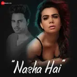 Danish Alfaaz — Nasha Hai