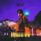 Danny Zee — Mahi Ve