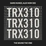 Dario Nunez — The Sound The Vibe (Extended Mix) Ft Alex Now (Es)