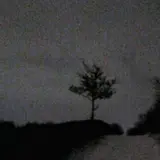 Dayerteq — Венерический Букетик (Old Version)