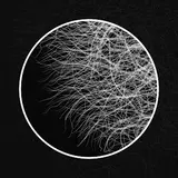 Dirtwire — Mycelium