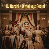 Dj Bardhi — O Moj Vajze Peqini