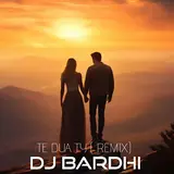 Dj Bardhi — Te Dua Ty (Remix) (Feat. Soni Malaj)