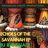 Dj Big Shaq — Kusikia (Chaotic Mix)