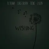 Dj Drama — Wishing (Feat. Chris Brown, Lyquin & Skeme)