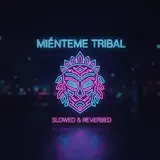 Dj Gecko — Mienteme Tribal (Slowed & Reverbed)