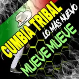Dj Moys — Cumbia Tribal Lo Mas Nuevo Mueve Mueve