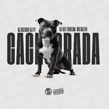 Dj P7 — Cachorrada (Feat. Dj Dozabri) Ft Dj Biel Divulga & Mc Kalzin