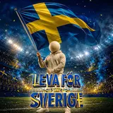 Dj Snöstorm — Leva För Sverige
