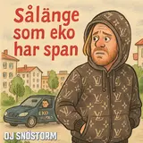 Dj Snöstorm — Sålänge Som Eko Har Span