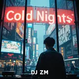 Dj Zm2909 — Cold Nights