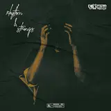 Djdelight — Rhythm & Strings