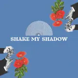 Doc Robinson — Shake My Shadow