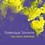 Dominique Sorrente — Minibus
