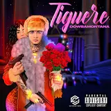 Dowba Montana — Tiguere