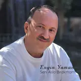 Engin Yaman — Göçmen Kuşlar