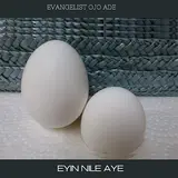 Evangelist Ojo Ade — Ise Owo Re