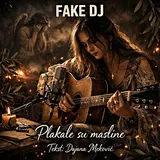 Fake Dj — Plakale Su Masline