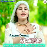 Fm Music Mewat — Aslam Singer Sr 2500