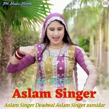 Fm Music Mewat — Aslam Singer Sr 9265