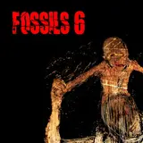 Fossils — Dewali Pee