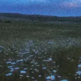 Friendly To Crows — Eternal Sleep Ft How R U