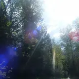Friendly To Crows — Fading Light Ft Lochhaven