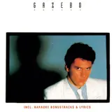 Gazebo — Masterpiece