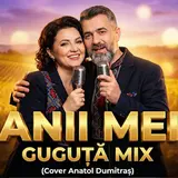 Guguta Mix — Anii Mei