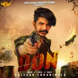 Gulzaar Chhaniwala — Don
