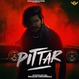 Gulzaar Chhaniwala — Pittar