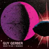 Guy Gerber — What To Do (&Me Remix)