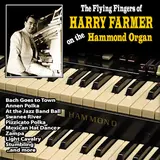 Harry Farmer — Annen Polka