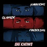 Harrysong — She Knows (Feat. Fireboy Dml & Olamide)