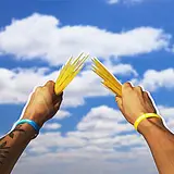 Holy Baam — Песня Про Укради Брейнрот