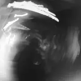Hxxlgn — Texas Thing