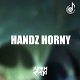 Ilham Riski — Handz Horny