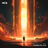 Irokz — Goodbye My Love
