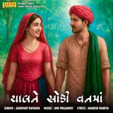 Jashvant Rathava — Chal Ne Chhodi Vann Ma