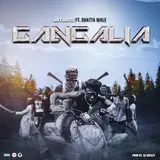 Jay Bahd — Gangalia (Feat. Shatta Wale)