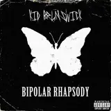 Kid Brunswick — Bipolar Rhapsody