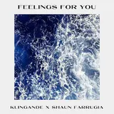Klingande — Feelings For You Ft Shaun Farrugia