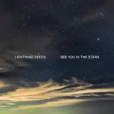 Lightning Seeds — Fit For Purpose