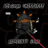 Lil Gnar — Almighty Gnar Ft Chief Keef