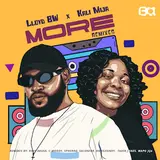 Lloyd Bw — More (Salvador's Nu-Dub Mix) Ft Kali Mija & Salvador