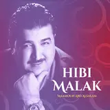 Maamoun Abd Alsalam — Hibi Malak