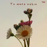 Maan Panu — Tu Mera Nahin Ft Ises